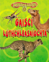 Laochra Lúfara - Gaiscí Lúthchleasaíochta